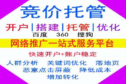 行业领先企业的SEM服务托管策略案例